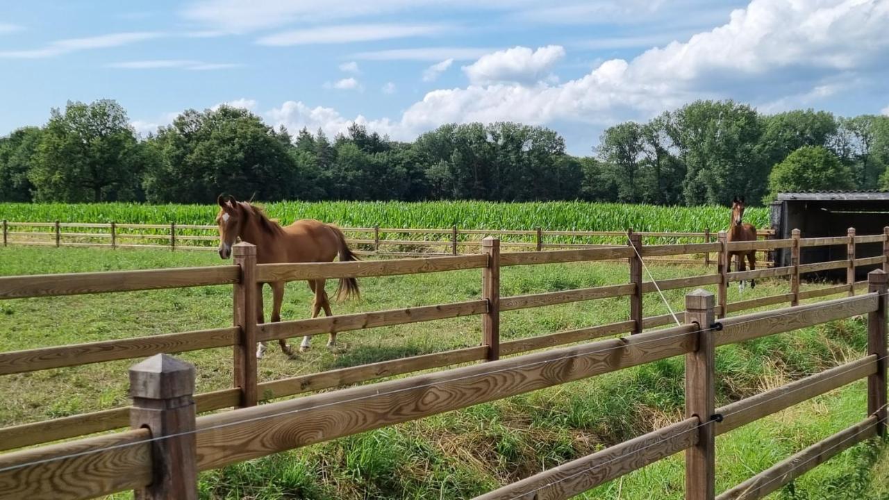 Vila Boshovense Velden Grobbendonk Exteriér fotografie