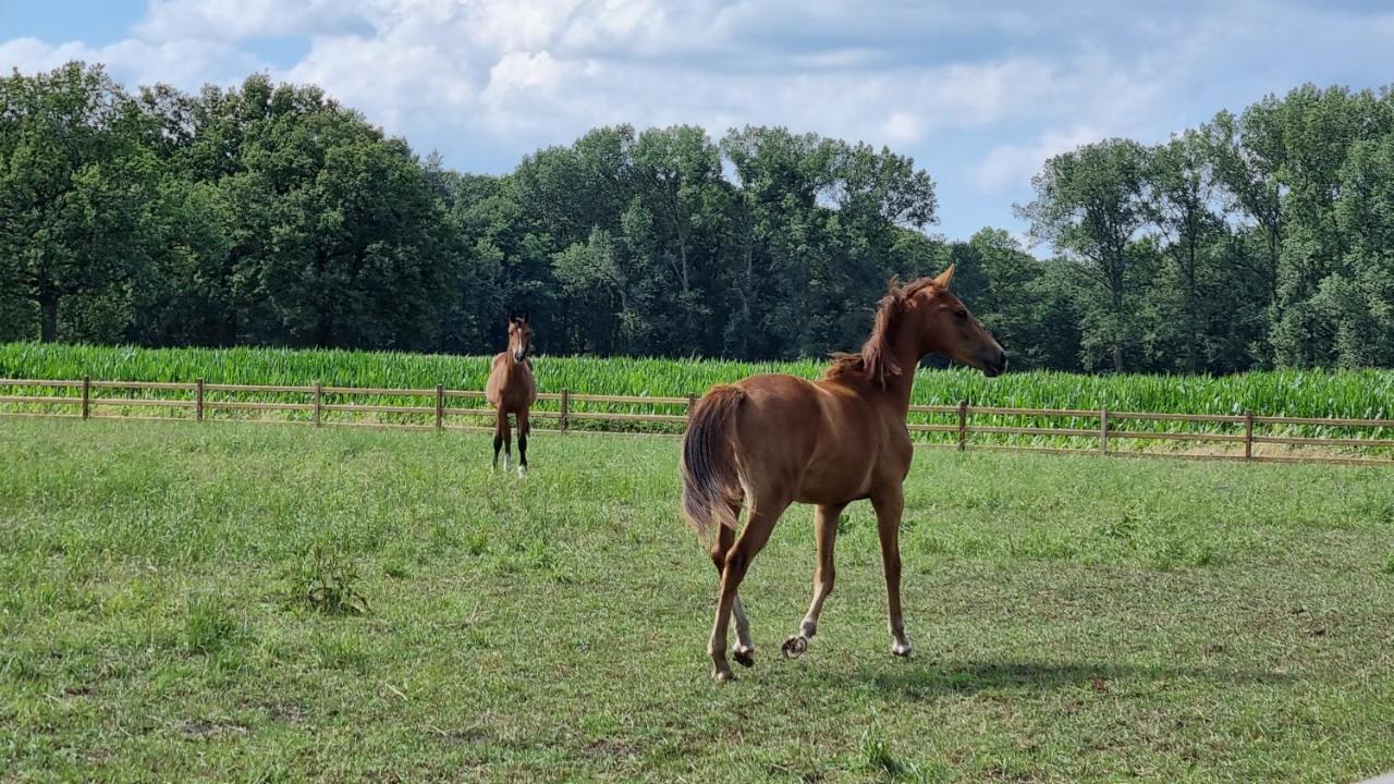 Vila Boshovense Velden Grobbendonk Exteriér fotografie