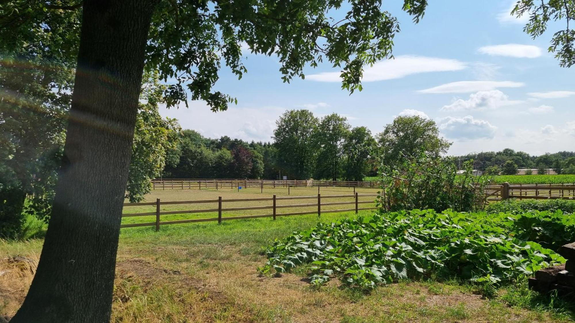 Vila Boshovense Velden Grobbendonk Exteriér fotografie